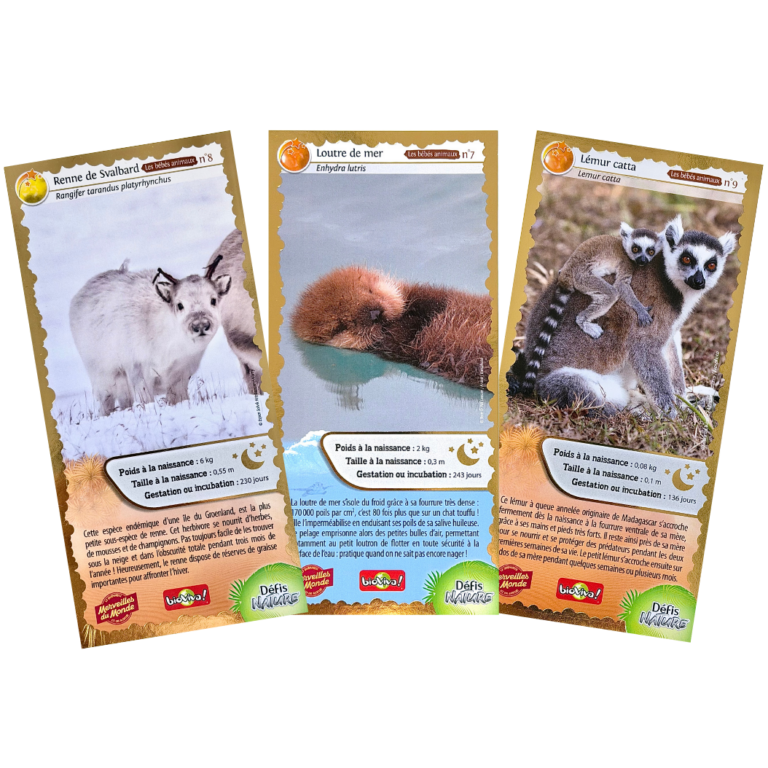 cartes_collector_n3(1)