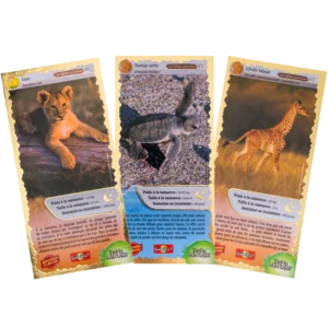 Dos de la carte