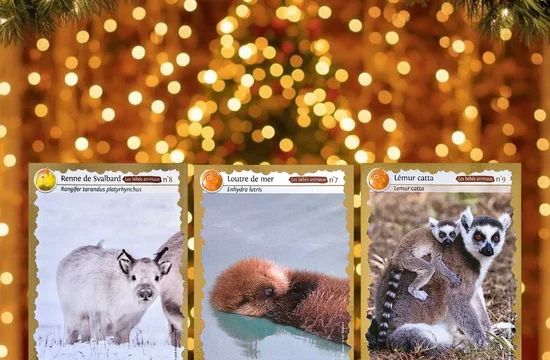 cartes_collector_serie_3_noel_550x