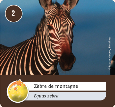 www-merveilles-du-monde_1