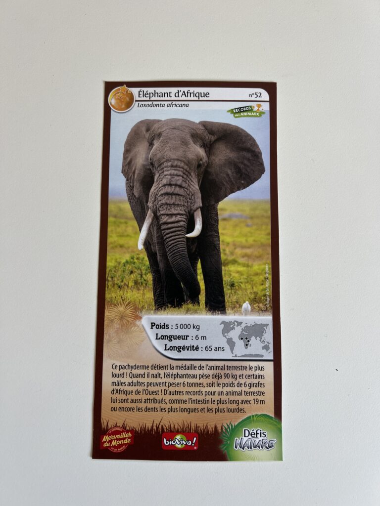 Face de la carte