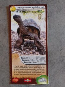 46 – Tortue géante des Seychelles
