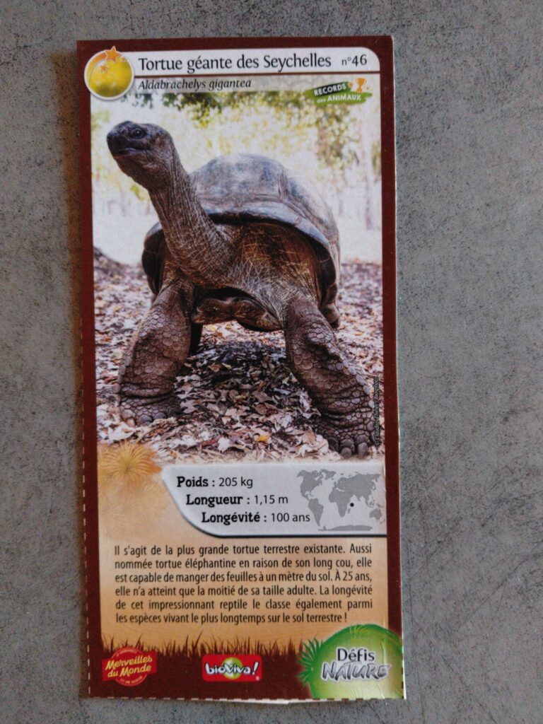 Face de la carte