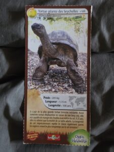 46 – Tortue géante des Seychelles