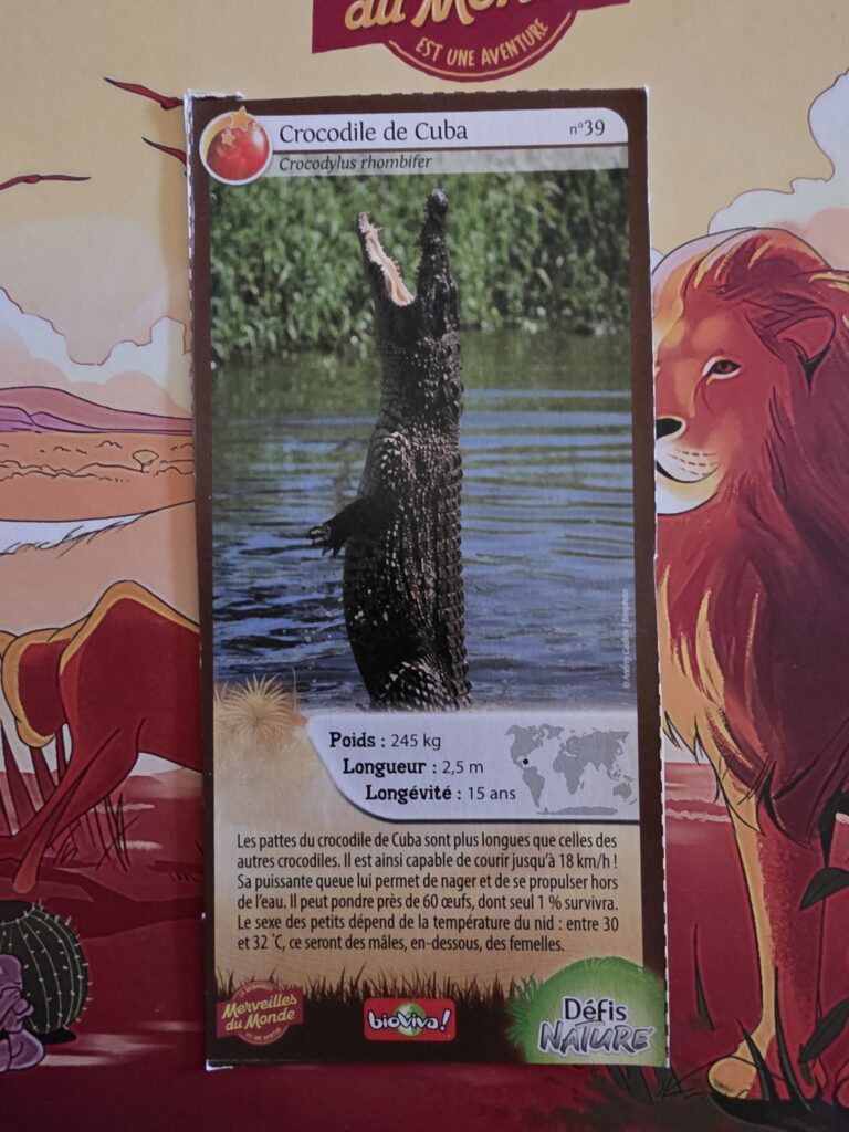 Face de la carte