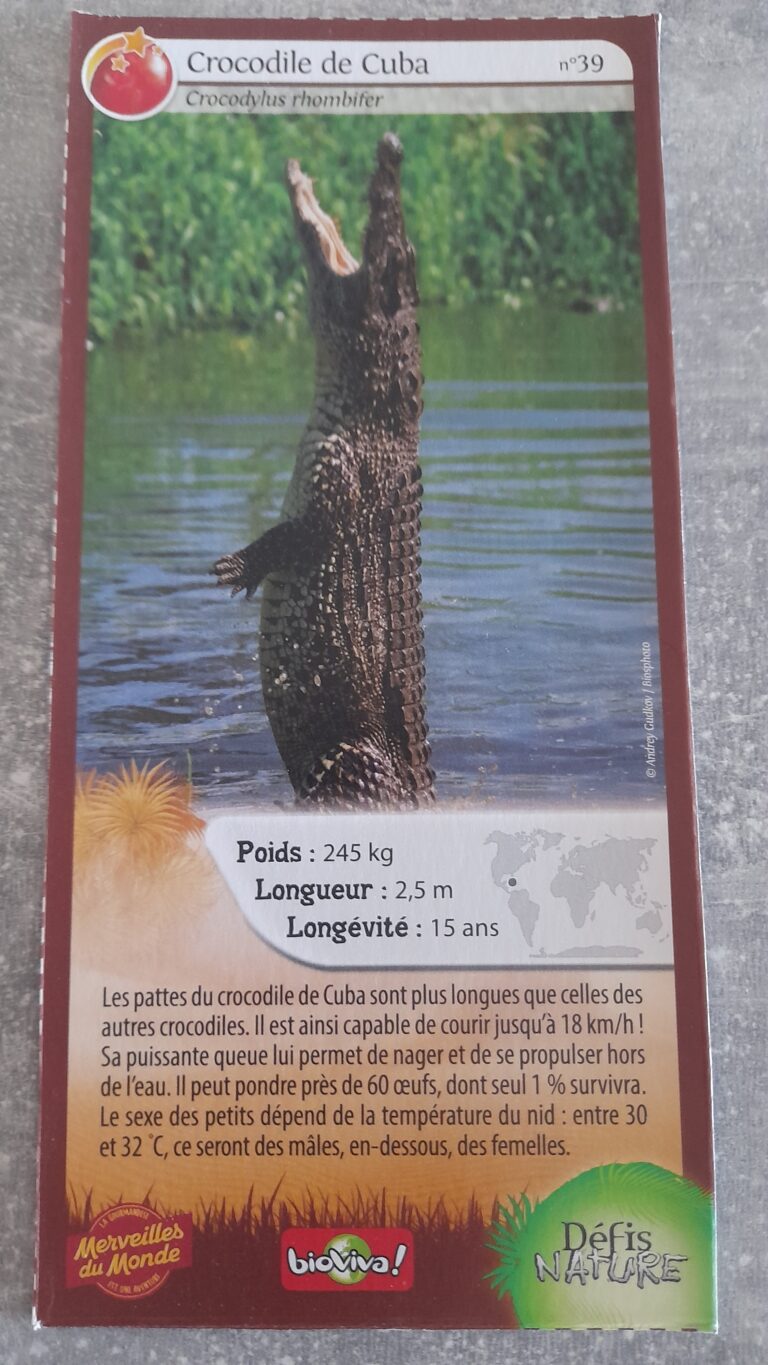 Face de la carte
