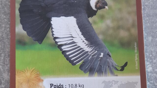 1786374753178112199800725263829