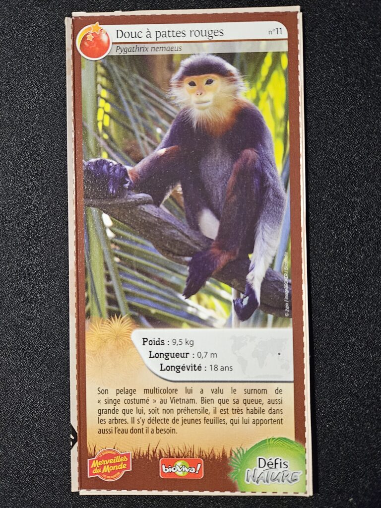 Face de la carte