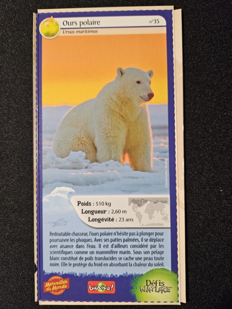 Face de la carte