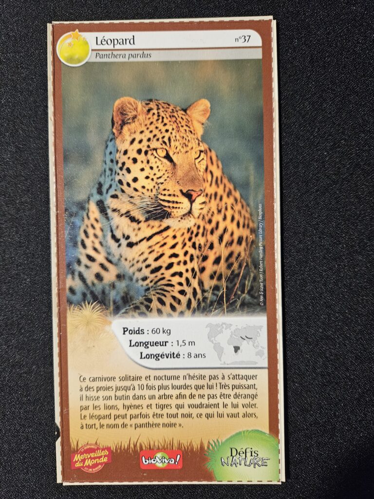 Face de la carte