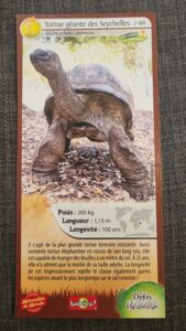 46 – Tortue géante des Seychelles