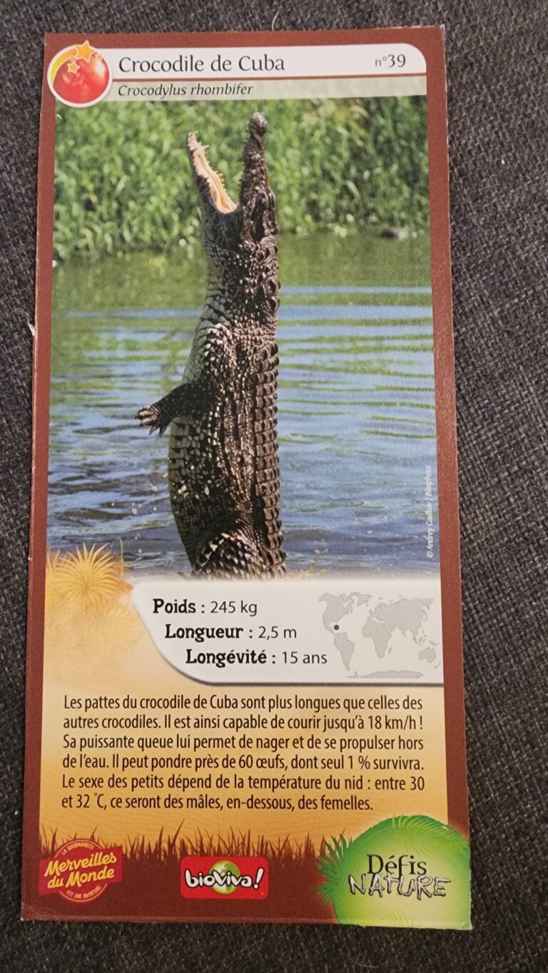 Face de la carte