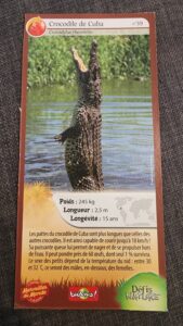 39 – Crocodile de Cuba