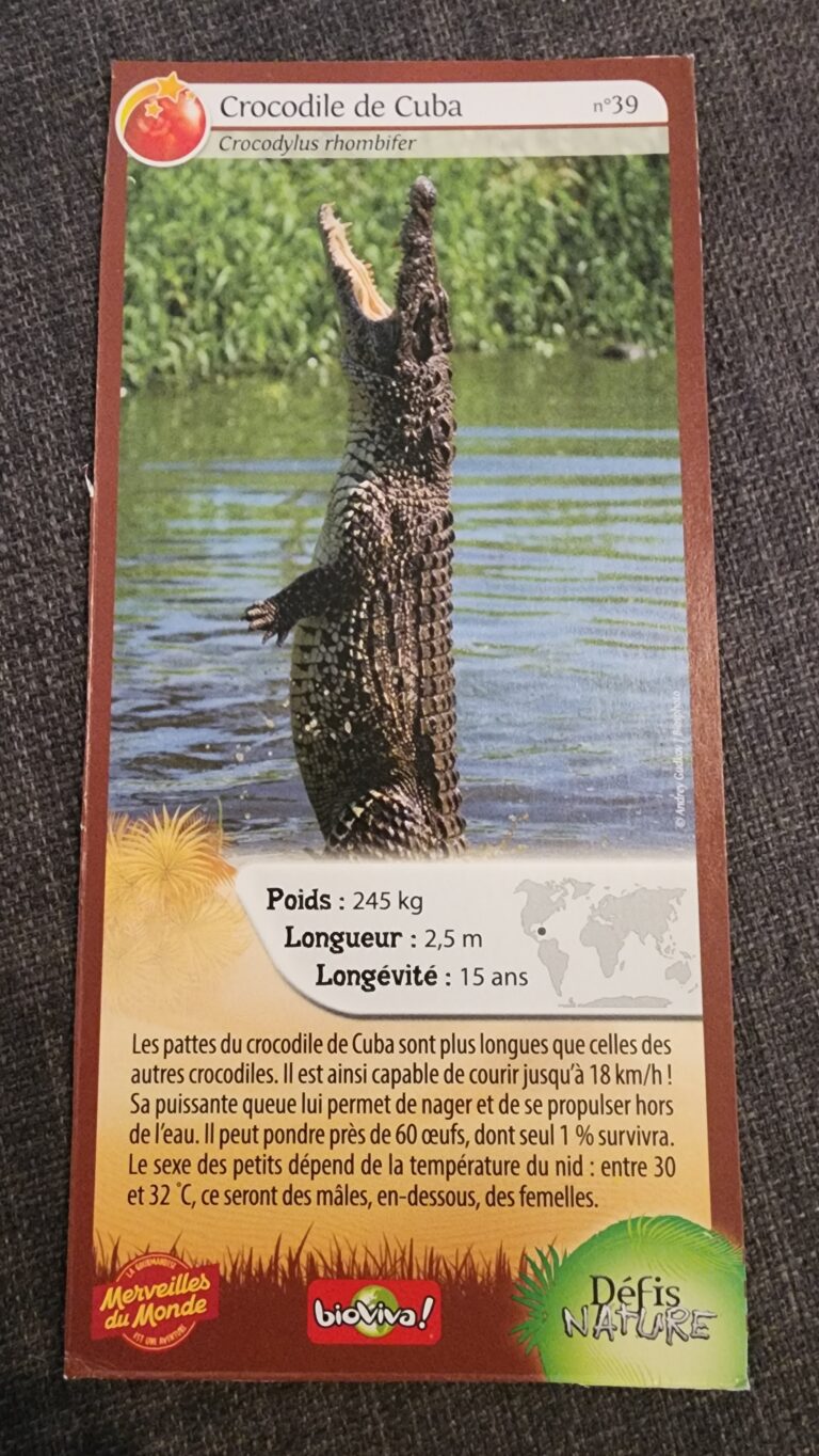 Face de la carte