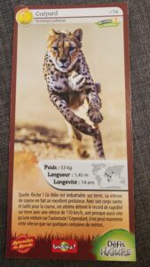 54 – Guépard