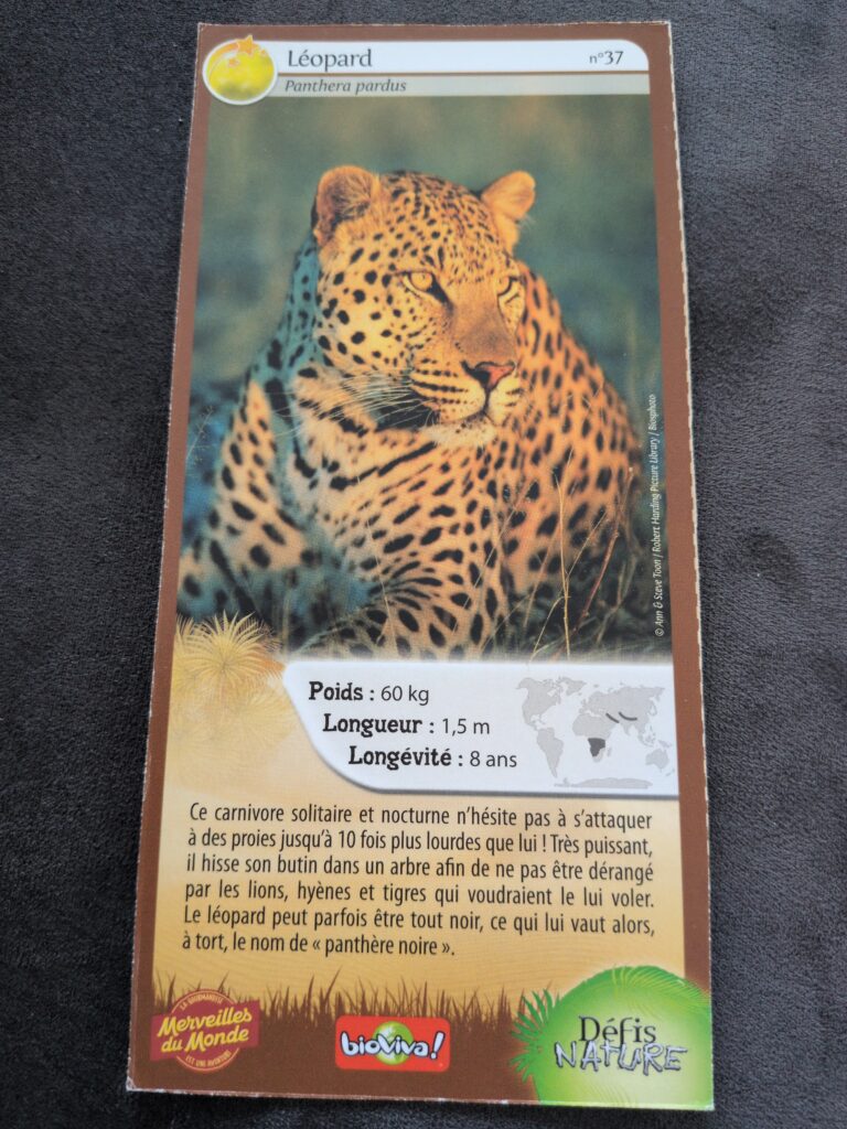 Face de la carte