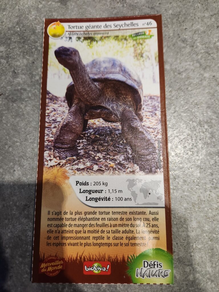 Face de la carte