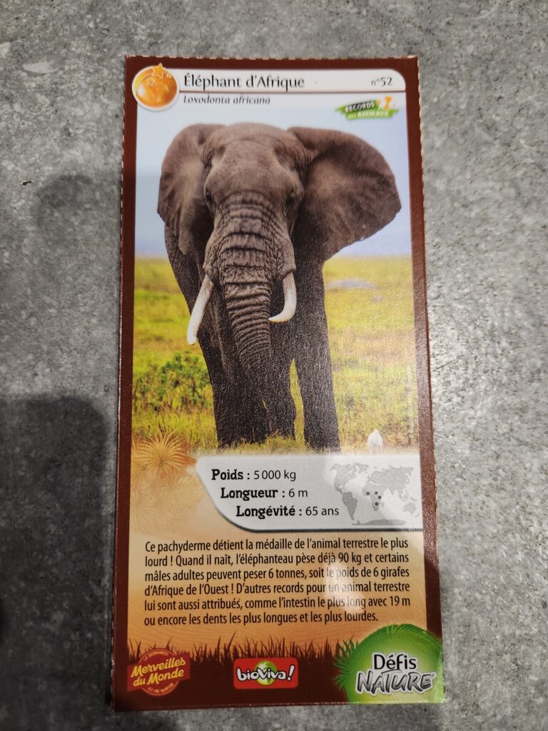 Face de la carte