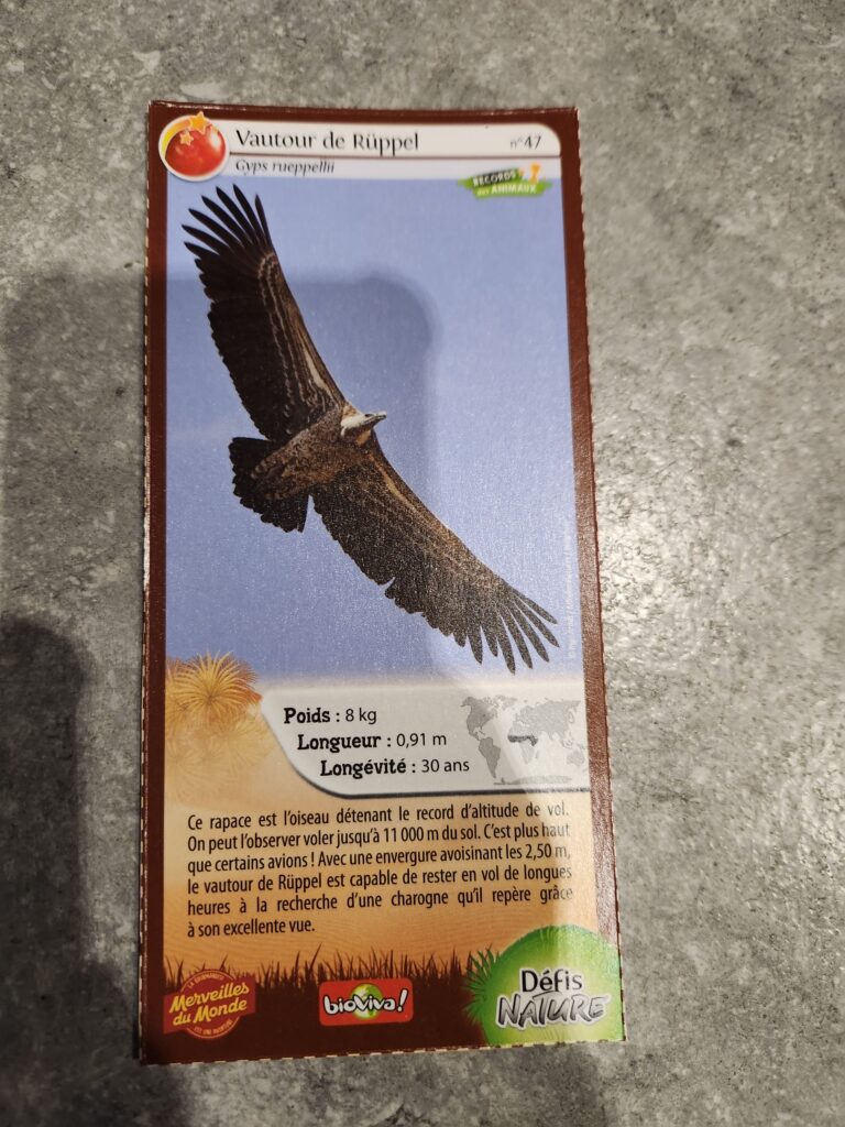 Face de la carte