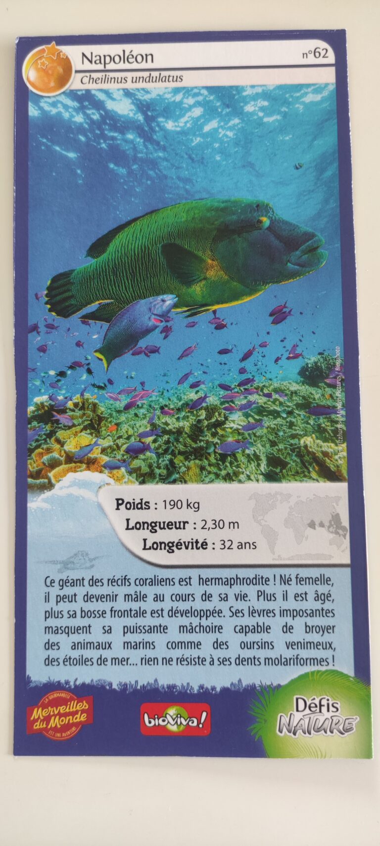 Face de la carte
