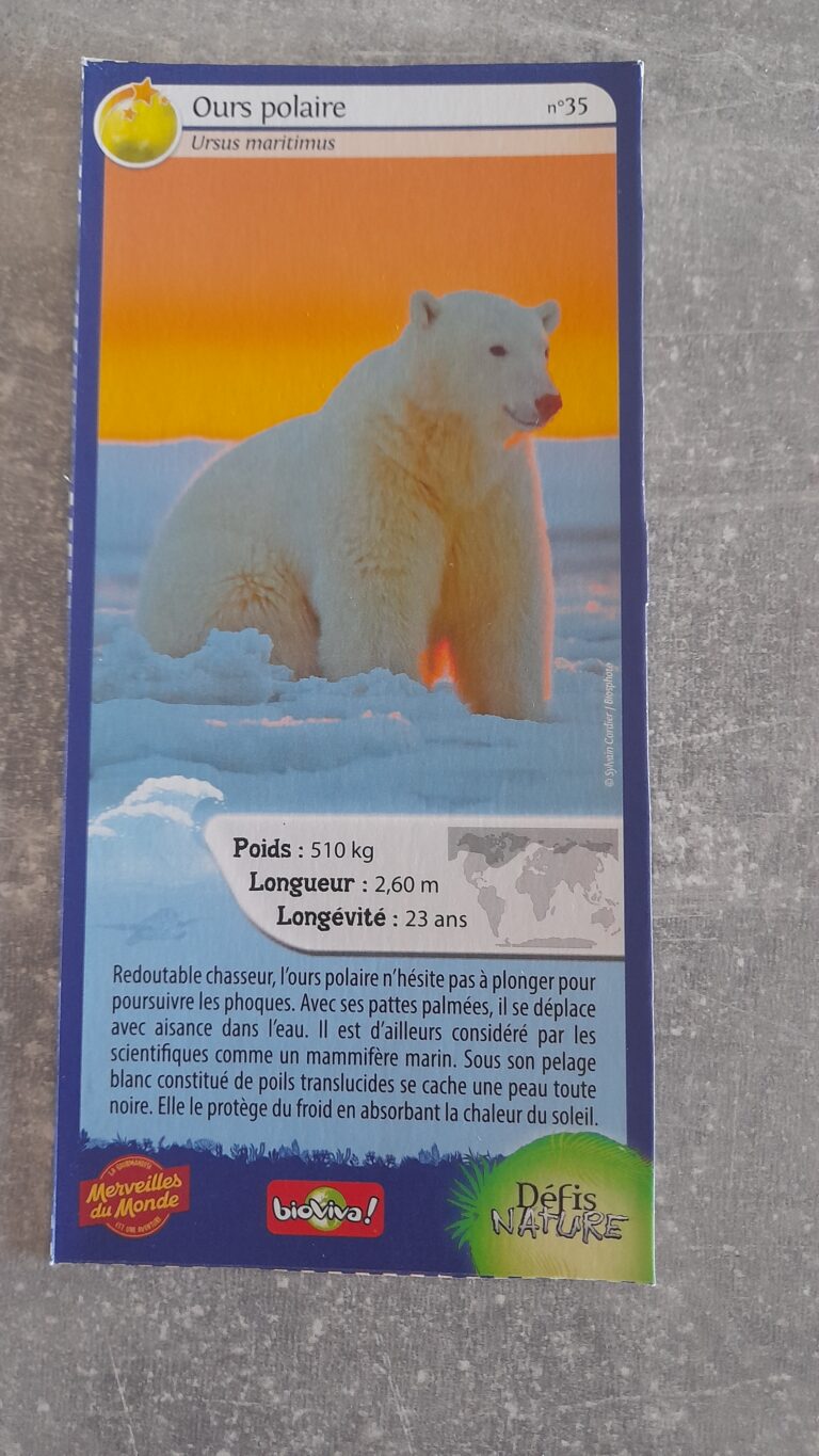 Face de la carte