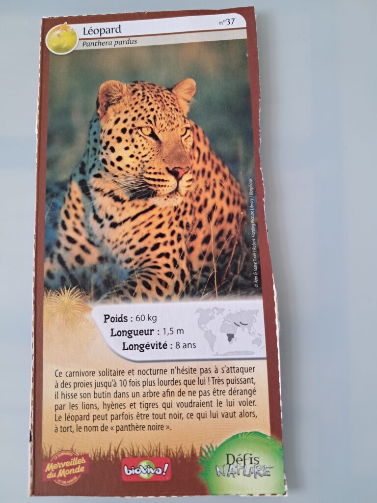 Face de la carte
