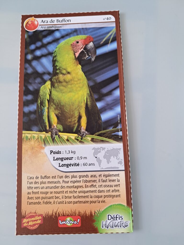 Face de la carte