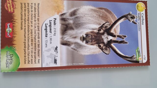 20260826_160659