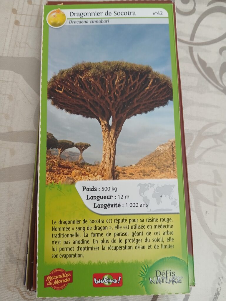 Face de la carte