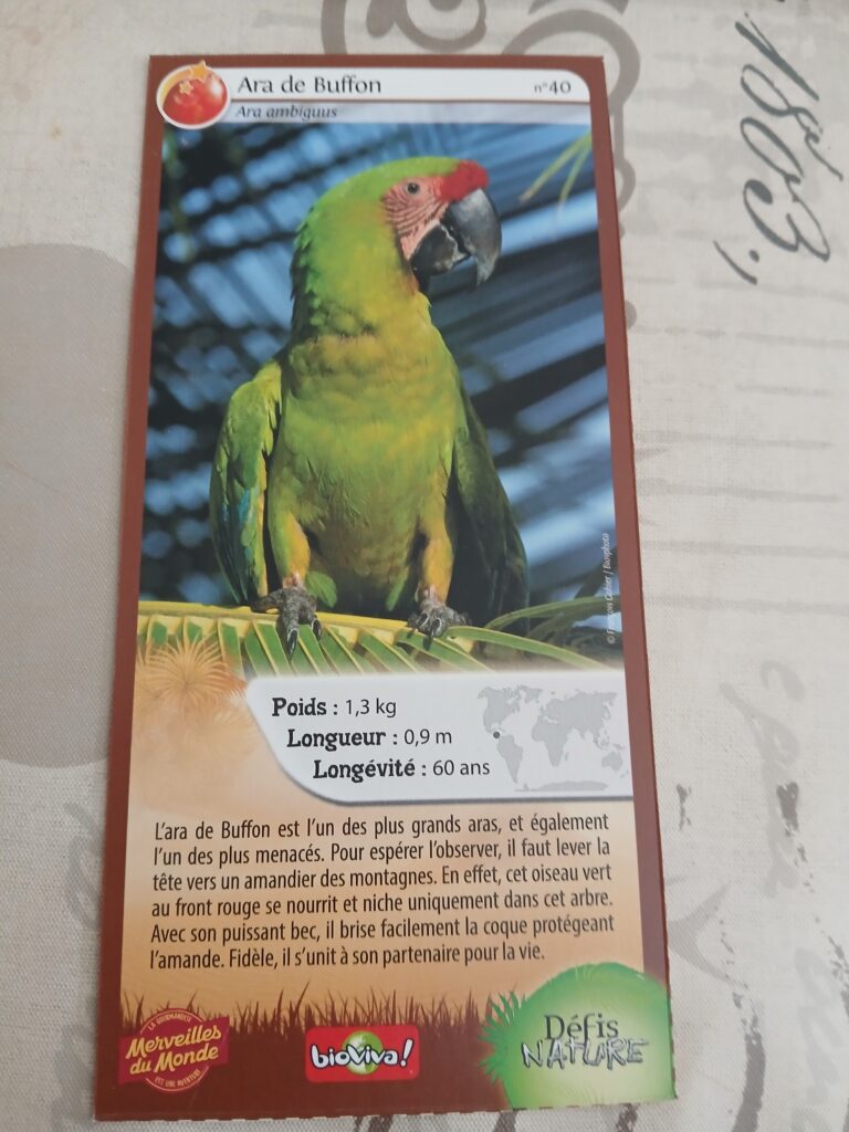 Face de la carte