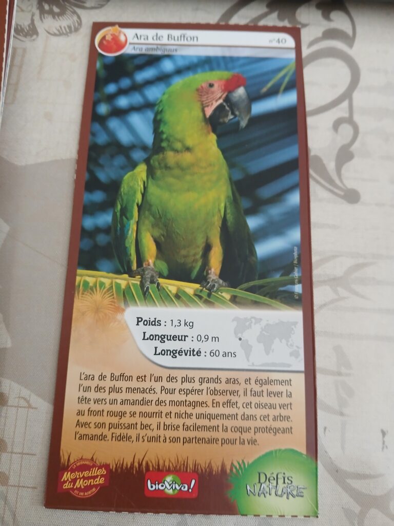 Face de la carte