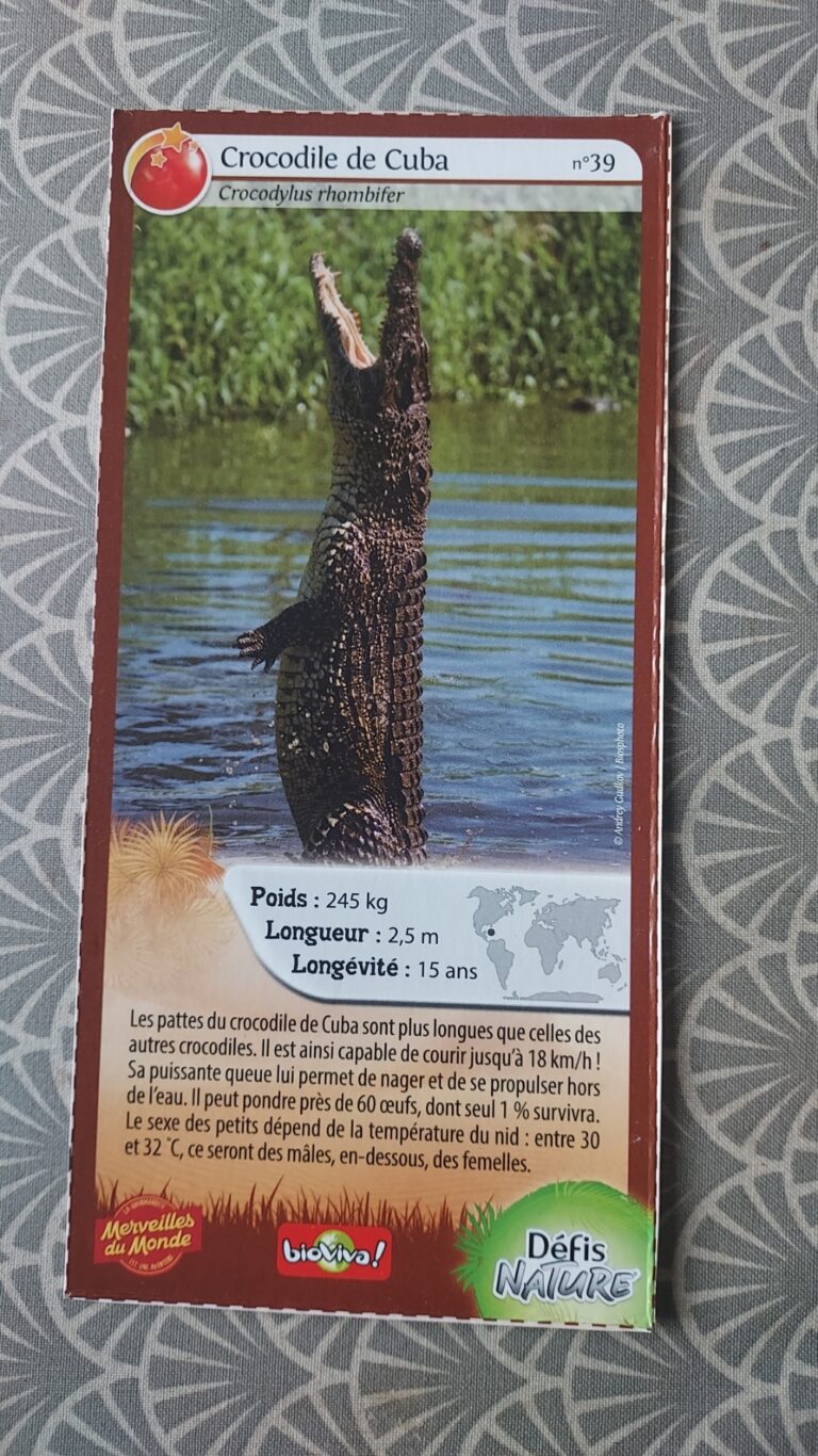 Face de la carte