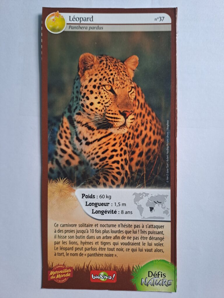 Face de la carte