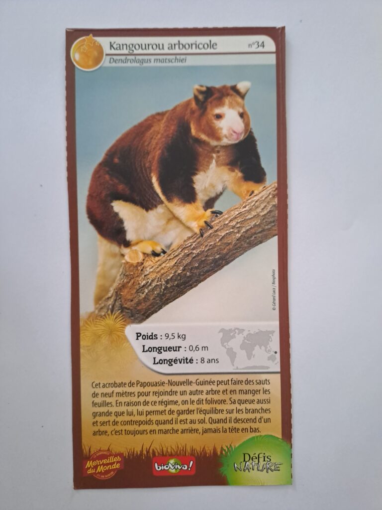 Face de la carte