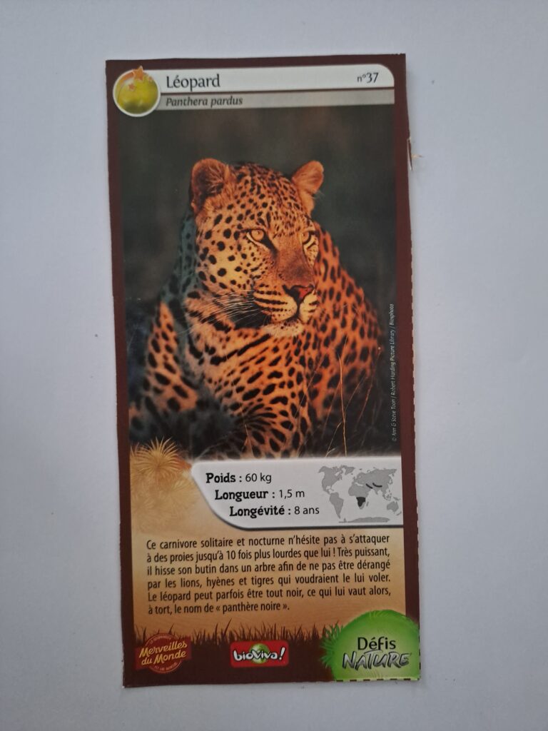 Face de la carte