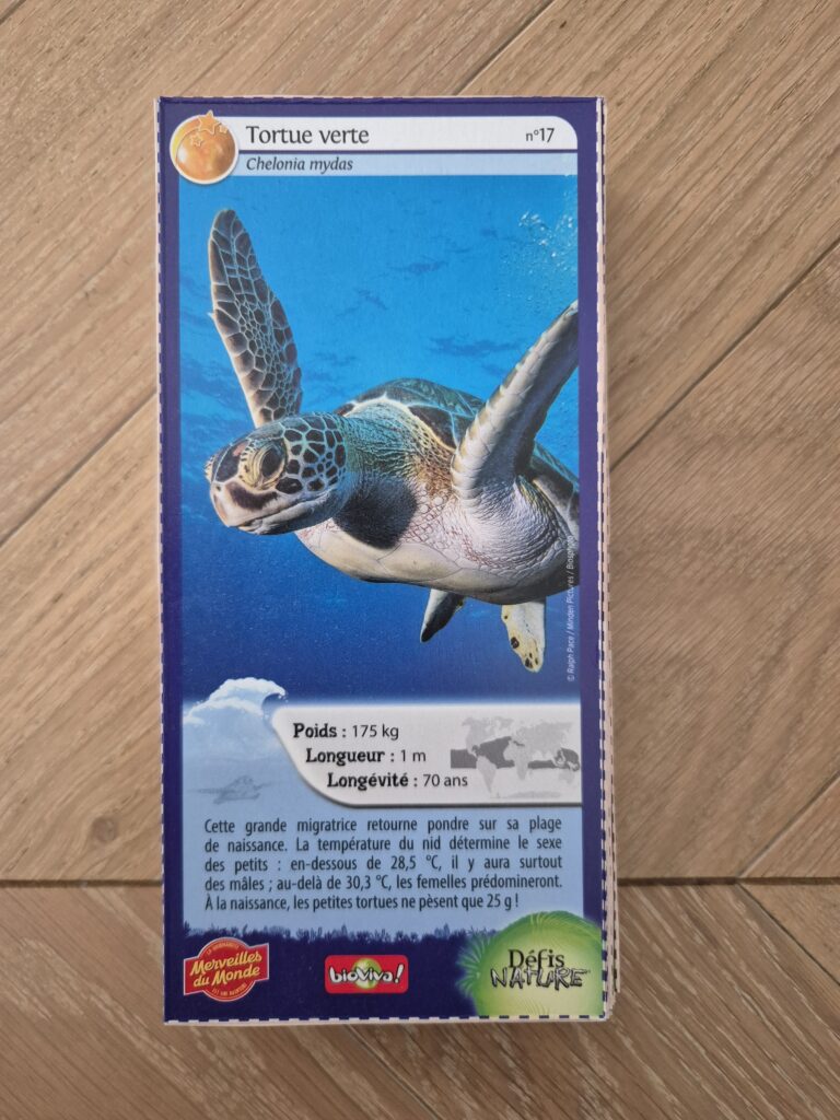 Face de la carte