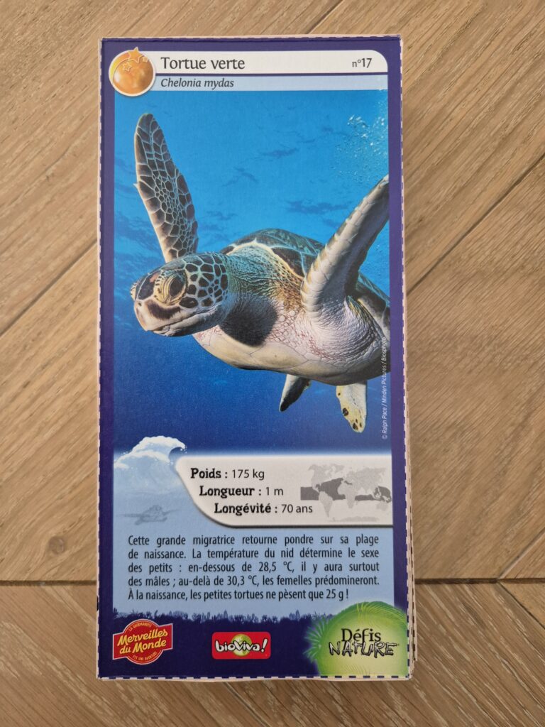 Face de la carte