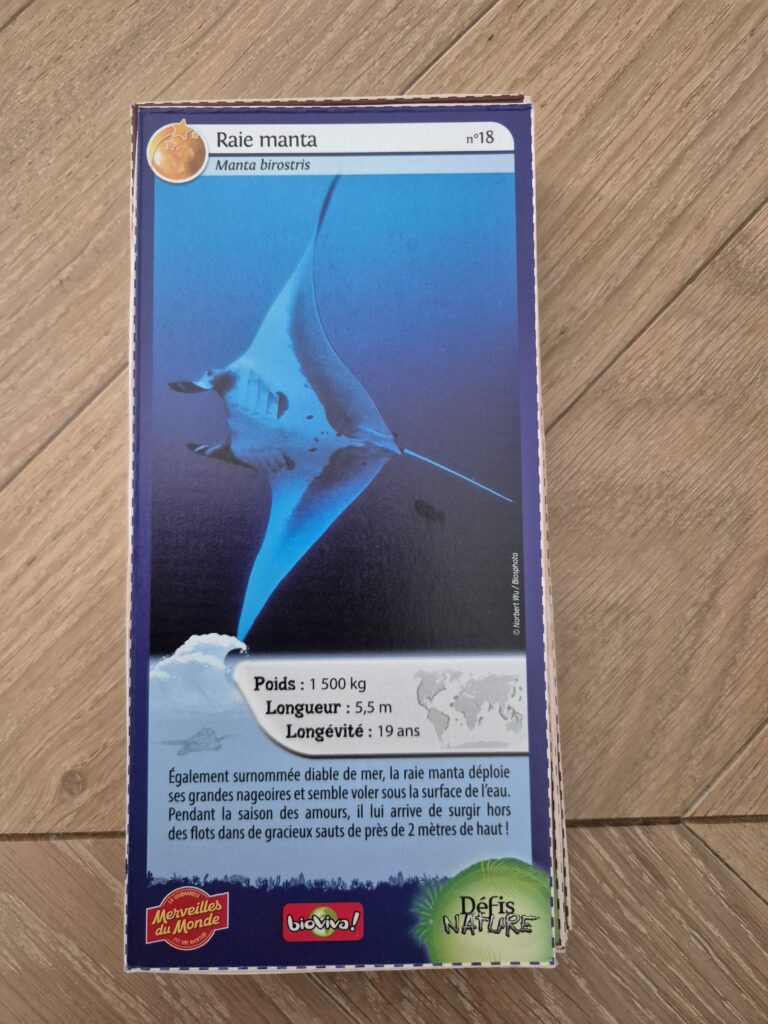 Face de la carte
