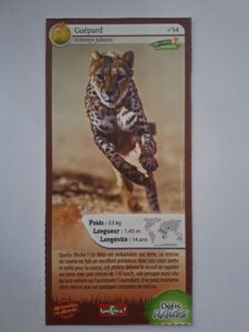 54 – Guépard
