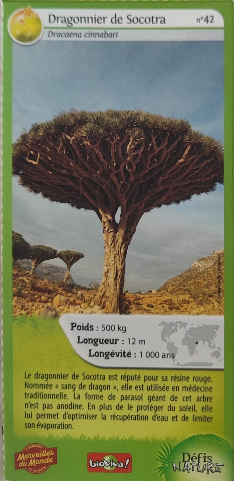 Face de la carte