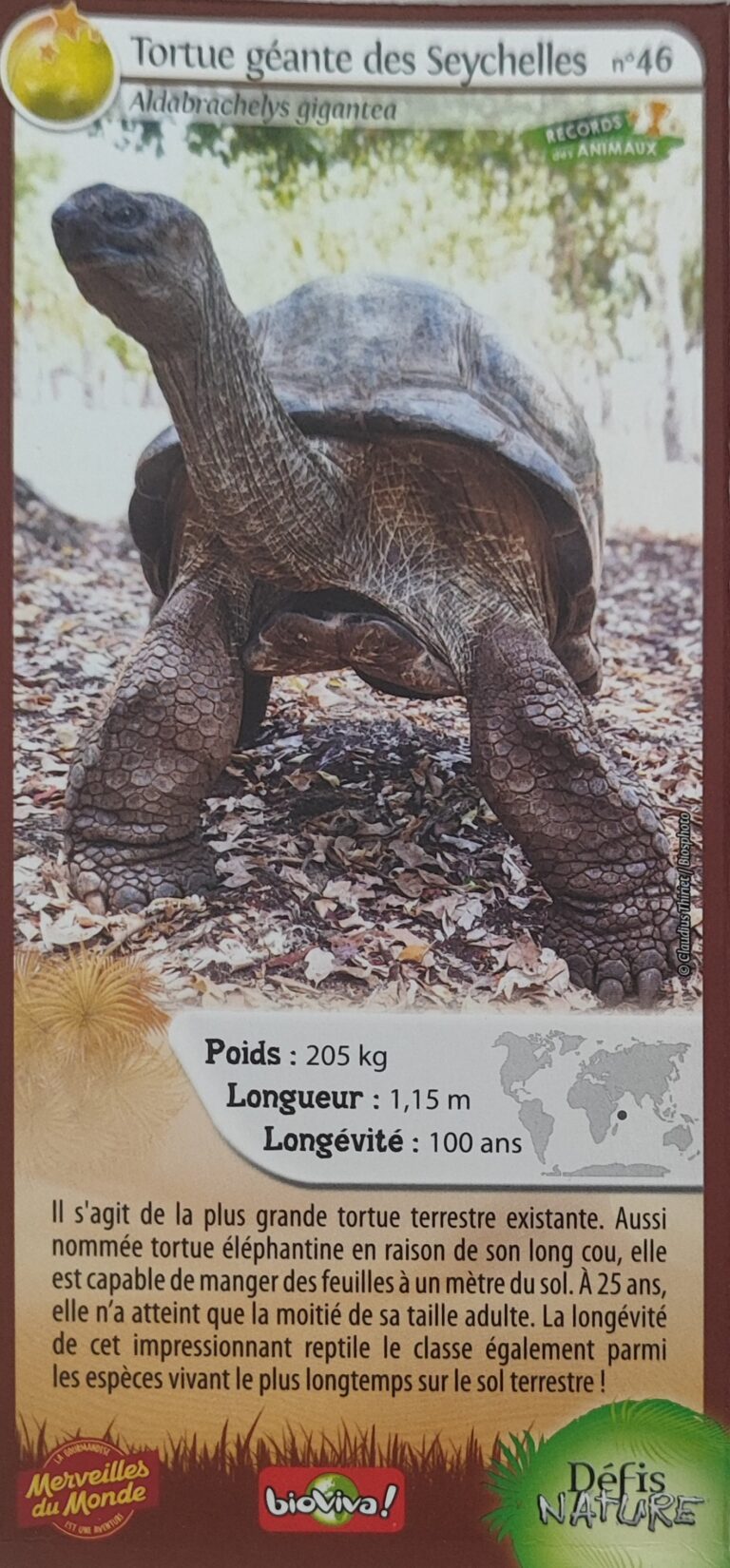 Face de la carte