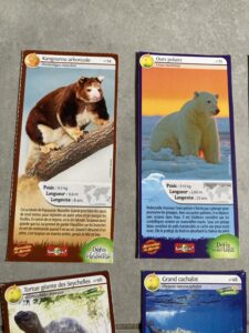 35 – Ours polaire
