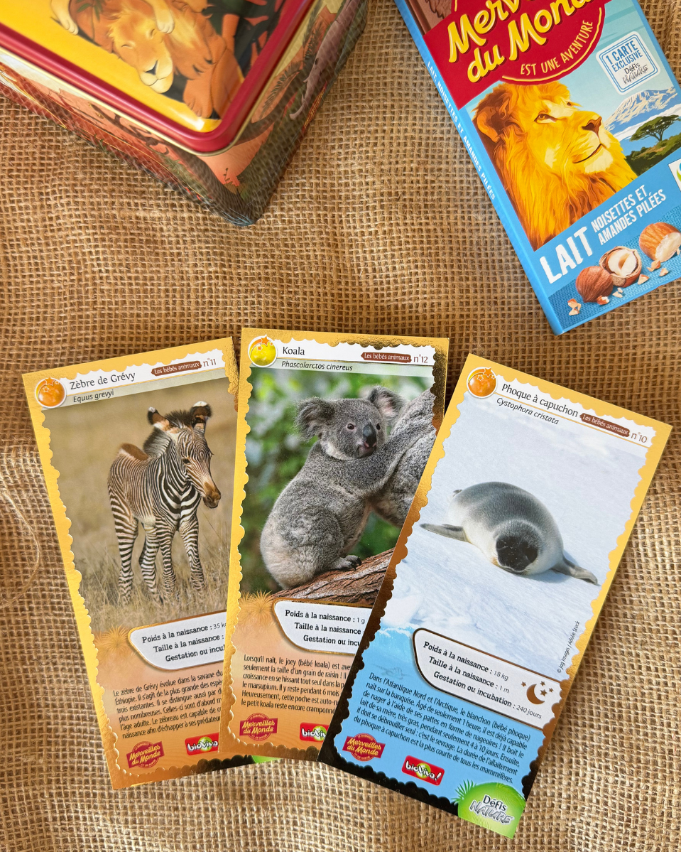 Lot de 3 cartes collector Défis Nature x Merveilles du Monde - série N°4 – Image 2