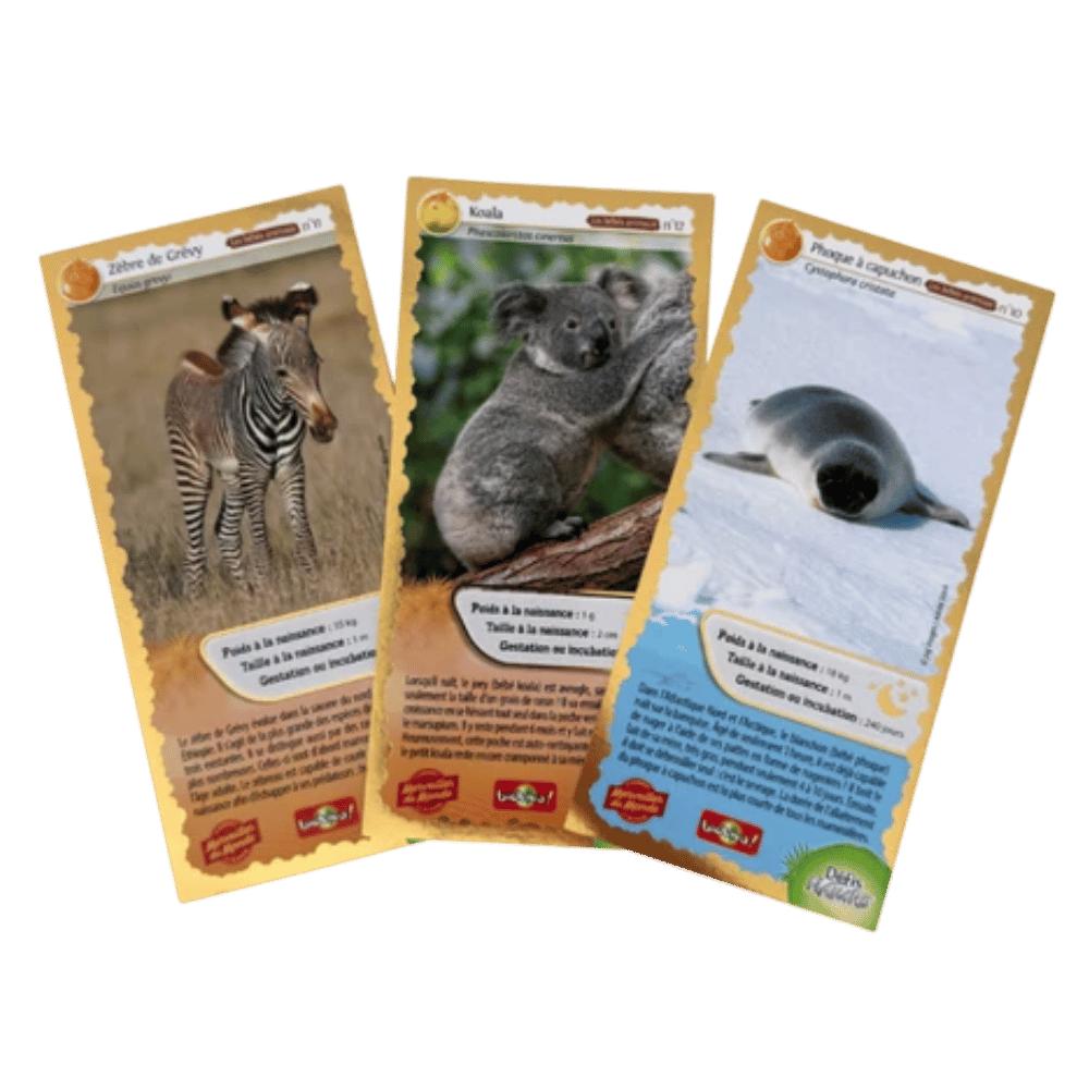 Lot de 3 cartes collector Défis Nature x Merveilles du Monde - série N°4