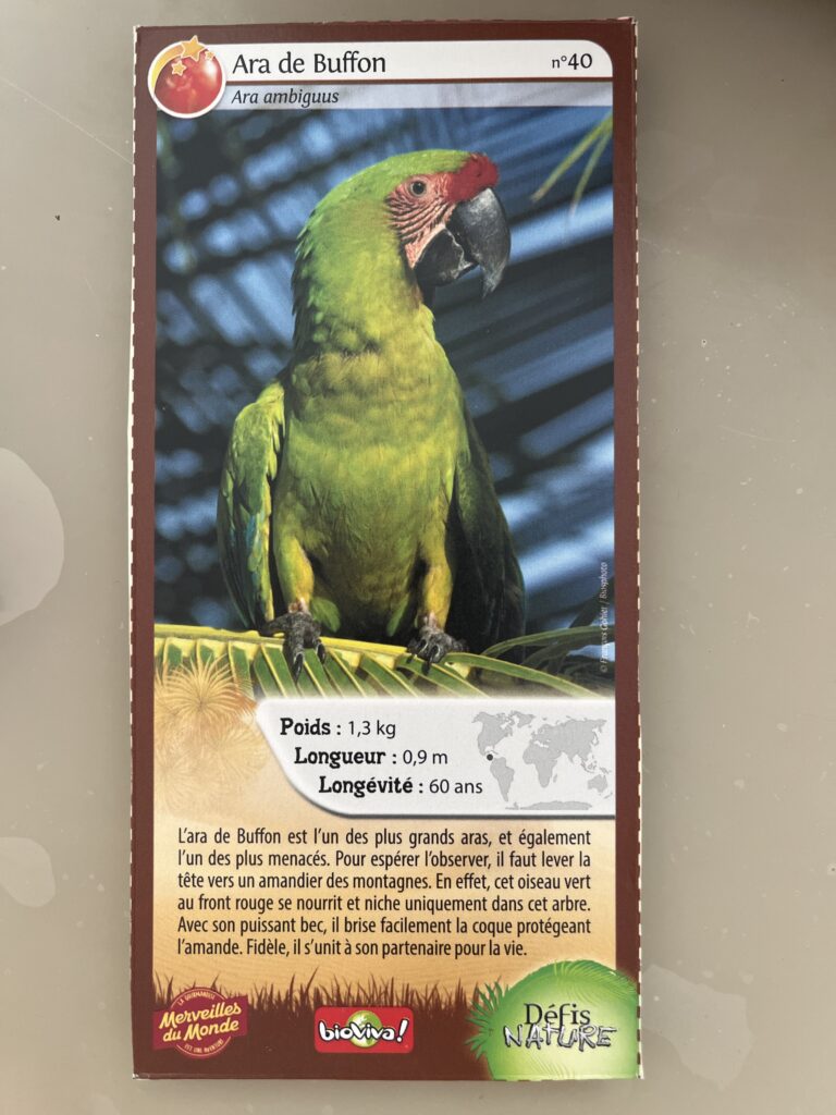 Dos de la carte