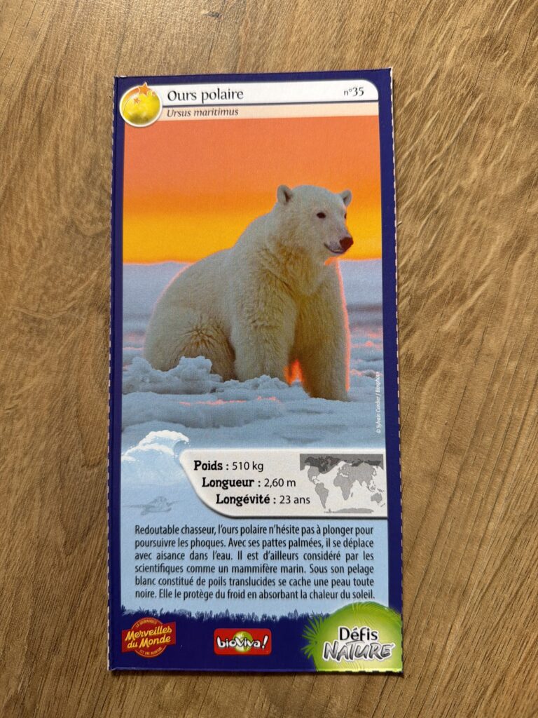 Face de la carte