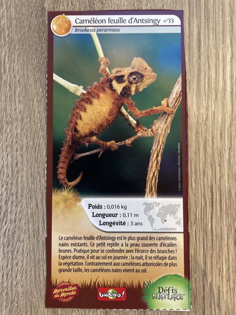 Face de la carte