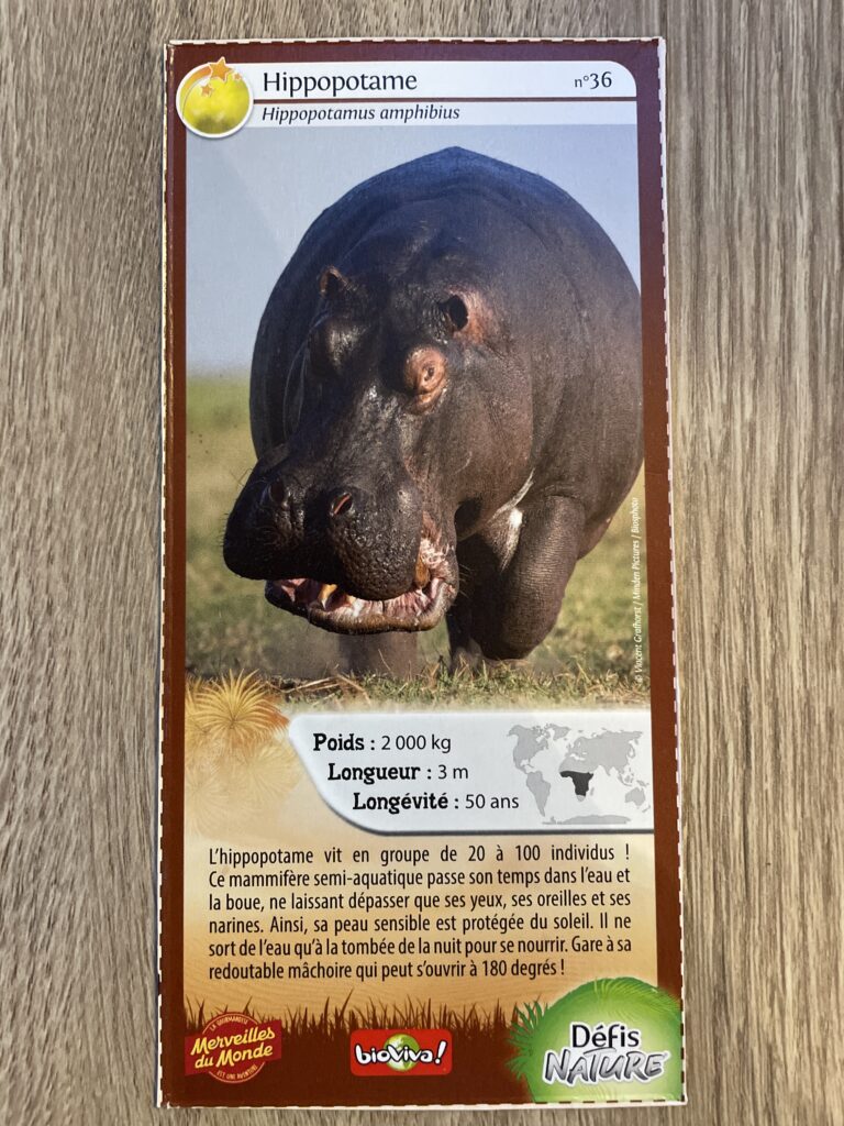 Face de la carte