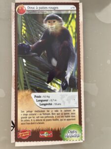 35 – Ours polaire