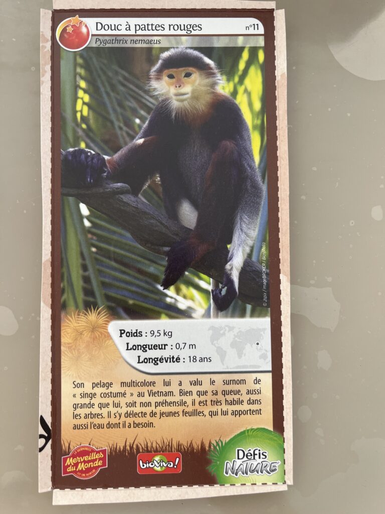 Face de la carte